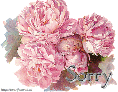 Różowe kwiaty na przeprosiny